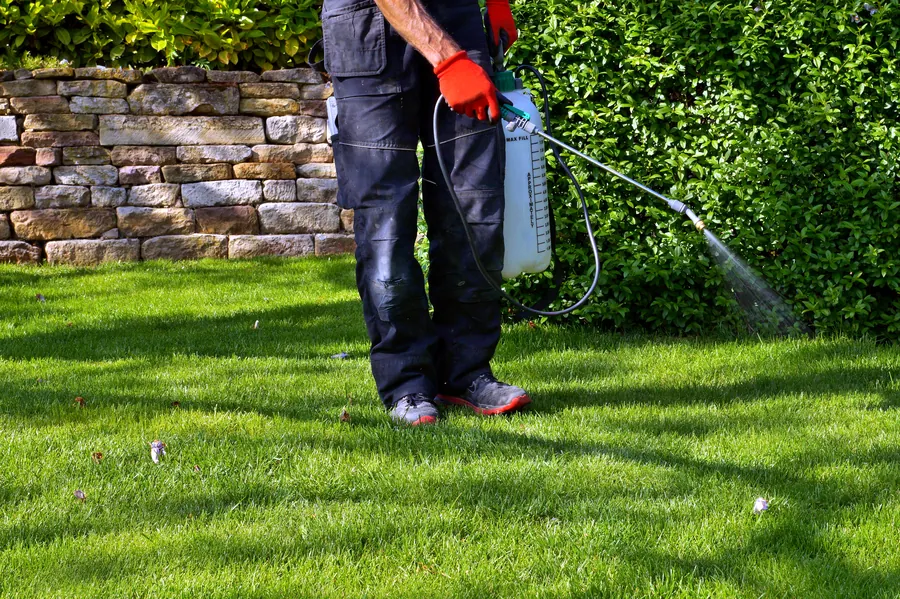DeBugem technician fertilizing a residential lawn in Palm Beach County, FL