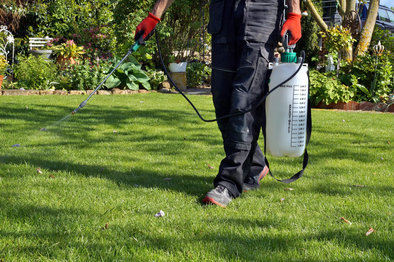 DeBugem technician applying lawn fertilizer to a residential St. Augustine lawn in Palm Beach County, FL